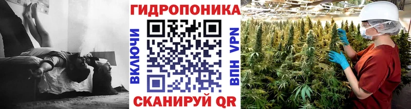 Купить наркотики цена Сосновка ГАШ  Alpha-PVP  Меф 