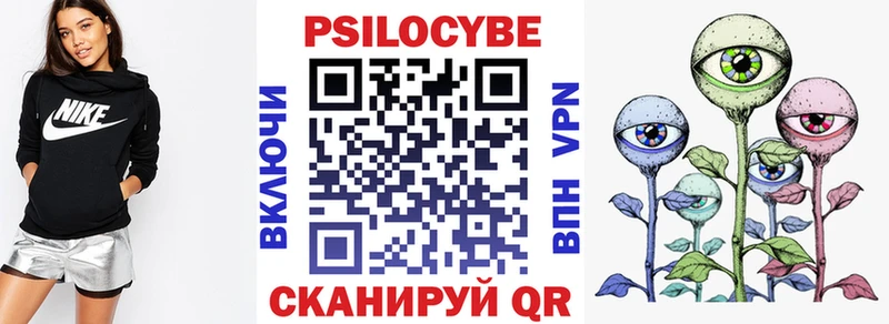 Псилоцибиновые грибы Psilocybe  купить   Сосновка 